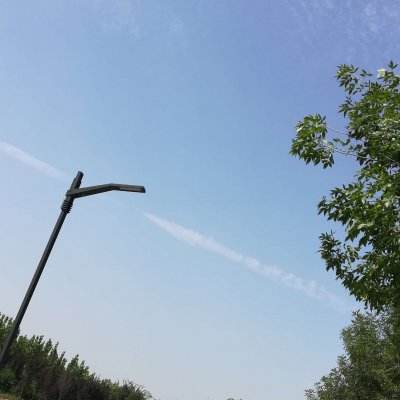 逐日沙城官方